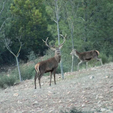 Rurales Casa Josefita *