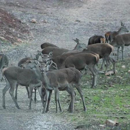 Apartment Rurales Casa Josefita Pedroso de Acim