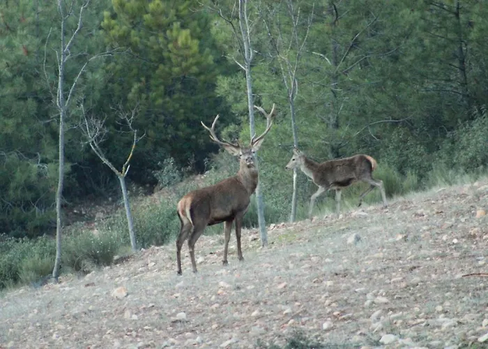 Rurales Casa Josefita *