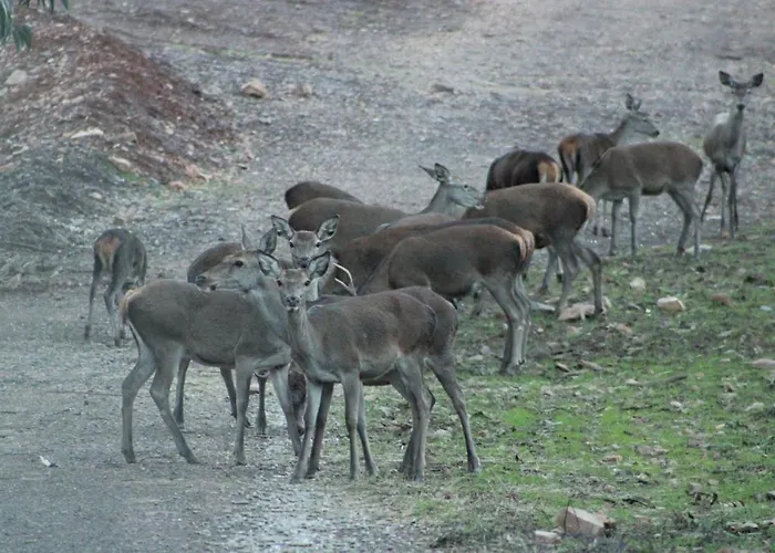 Apartmán Rurales Casa Josefita Pedroso de Acim